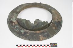 Foto von Bronzebreitrandschale (NHMW-PRAE-025899)